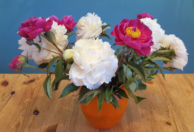 Baste Lübbe, Pfingstrosen, Sommerroman, Petra Hülsmann grossekoepfe, Elternblog, Familienblog