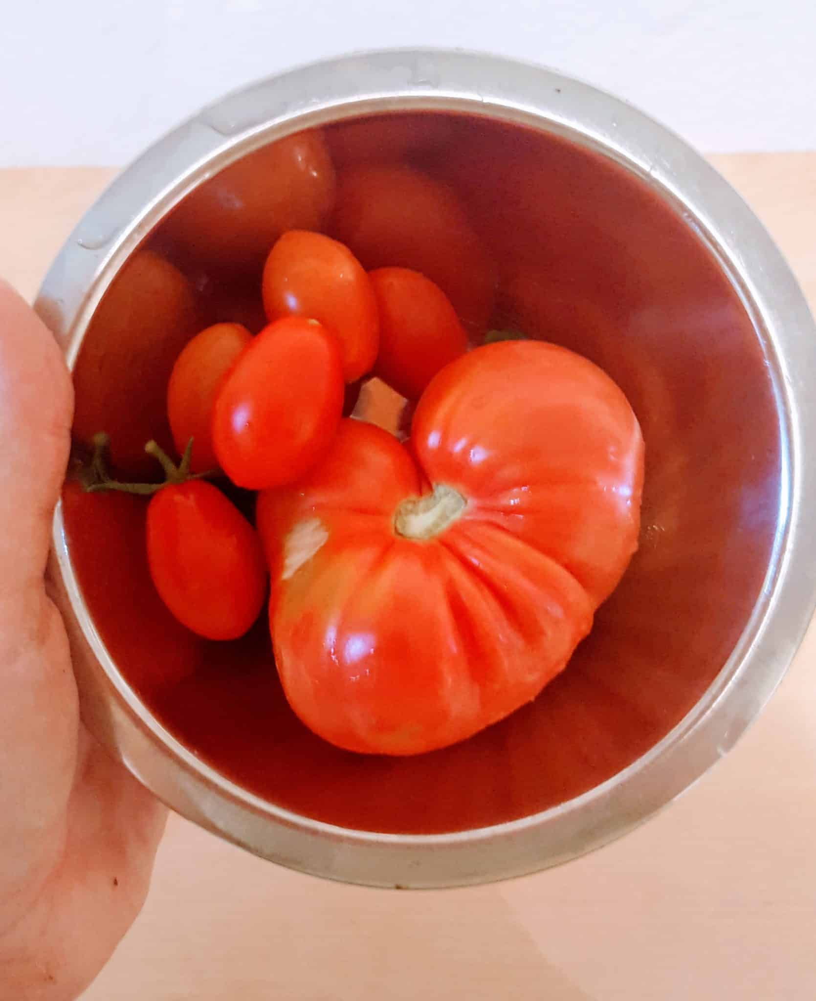 Tomaten_280717