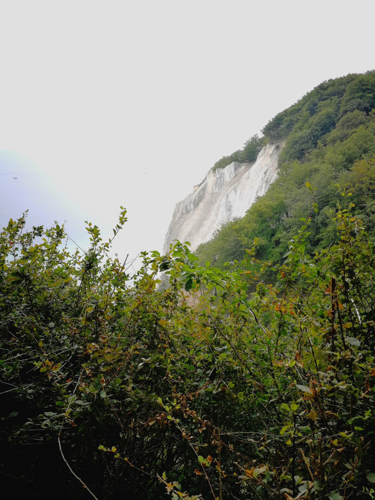 Kreidefelsen Insel Mön