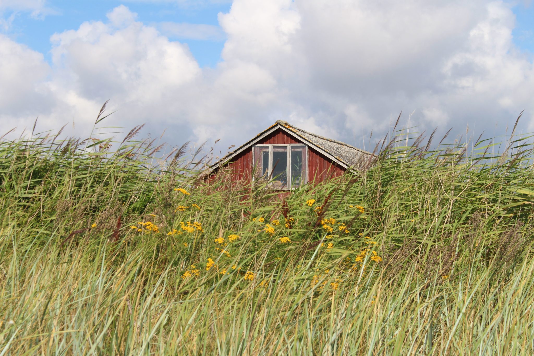 Insel Mön am Strand mit Kindern