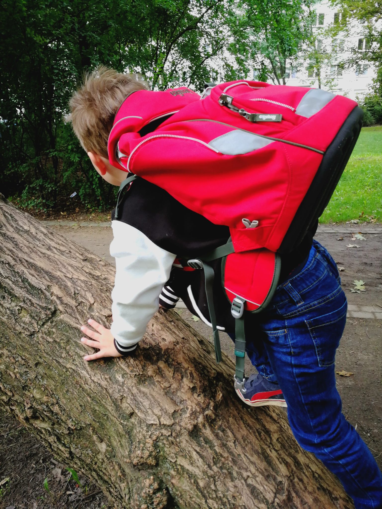 Rucksack Ergobag kletter
