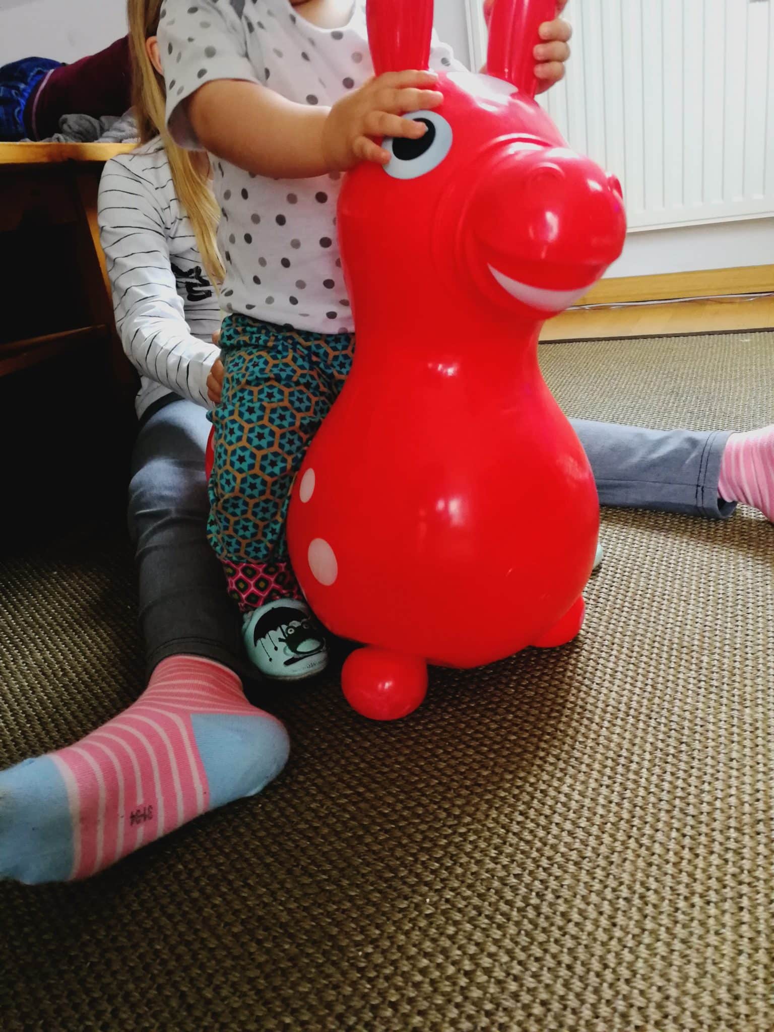 Rody Tier