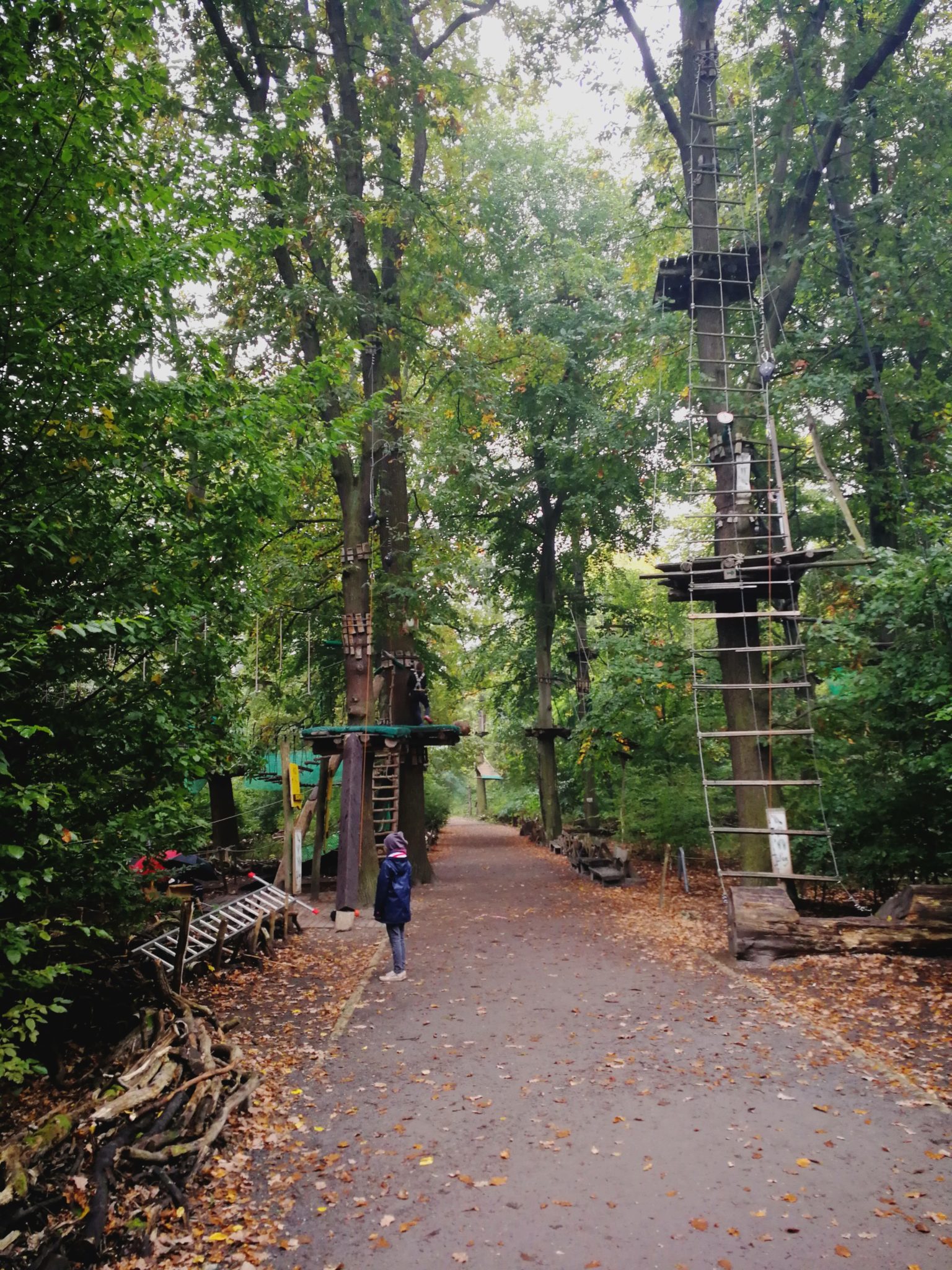 Hochseilgarten Jungfernheide