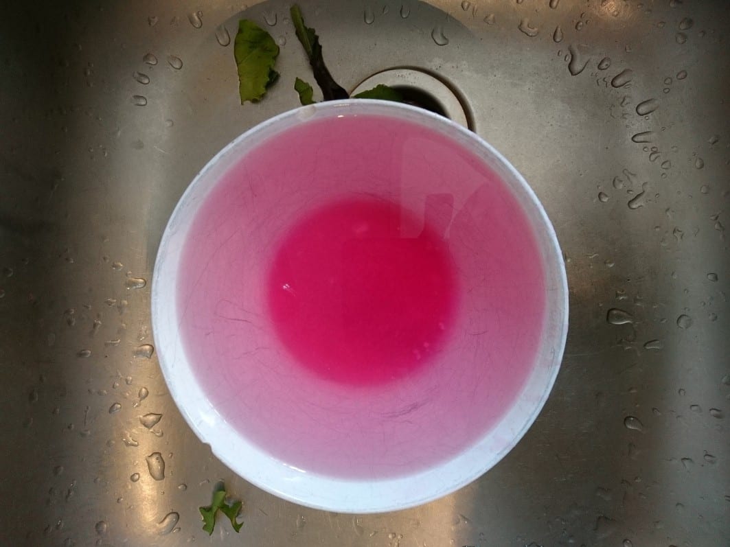 Rosa