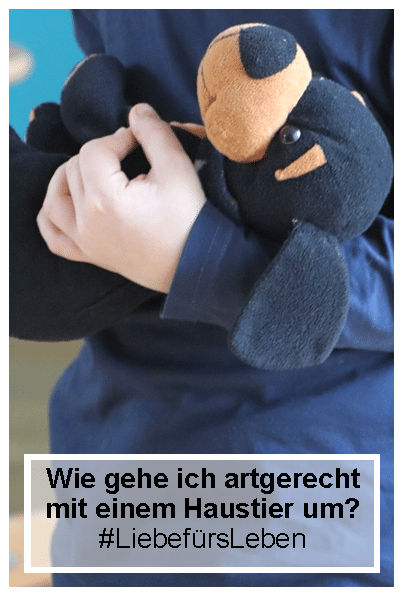 artgerecht mit einem haustier umgehen