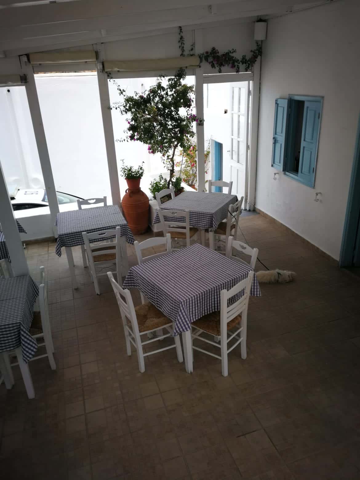 Rhodos Reise allein Atrium Palace