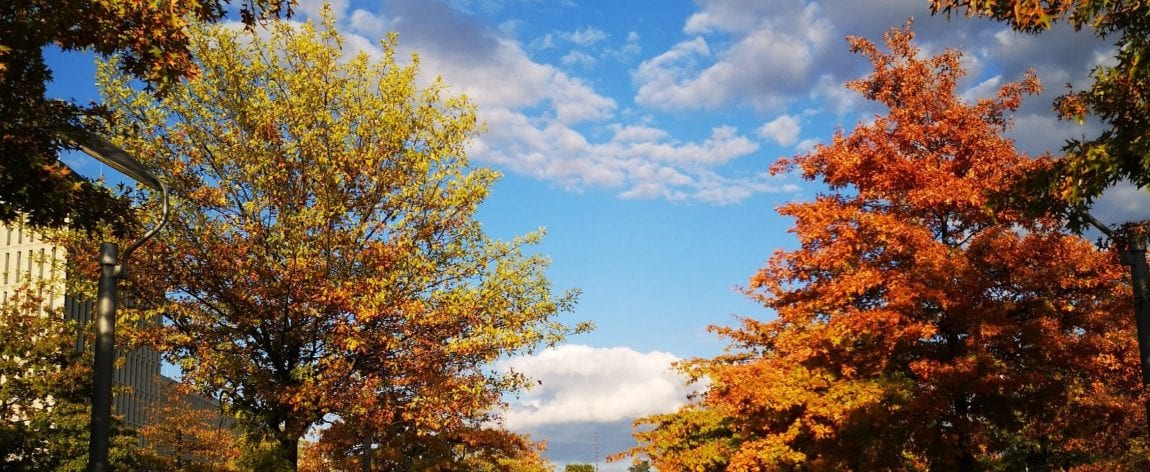 Abendlicht in Berlin_grossekoepfe.de
