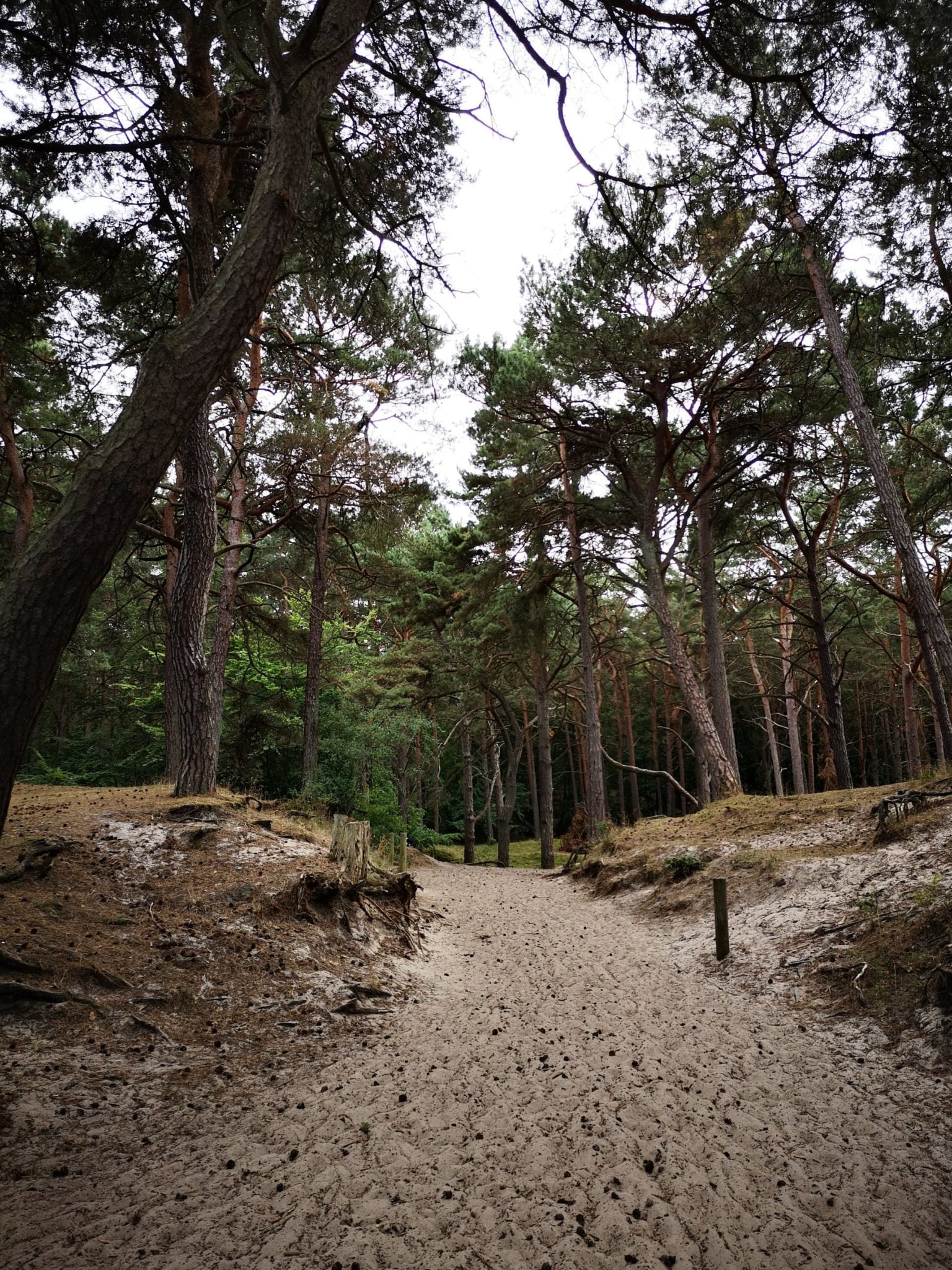 Urlaub auf Usedom mit Kindern_grossekoepfe 