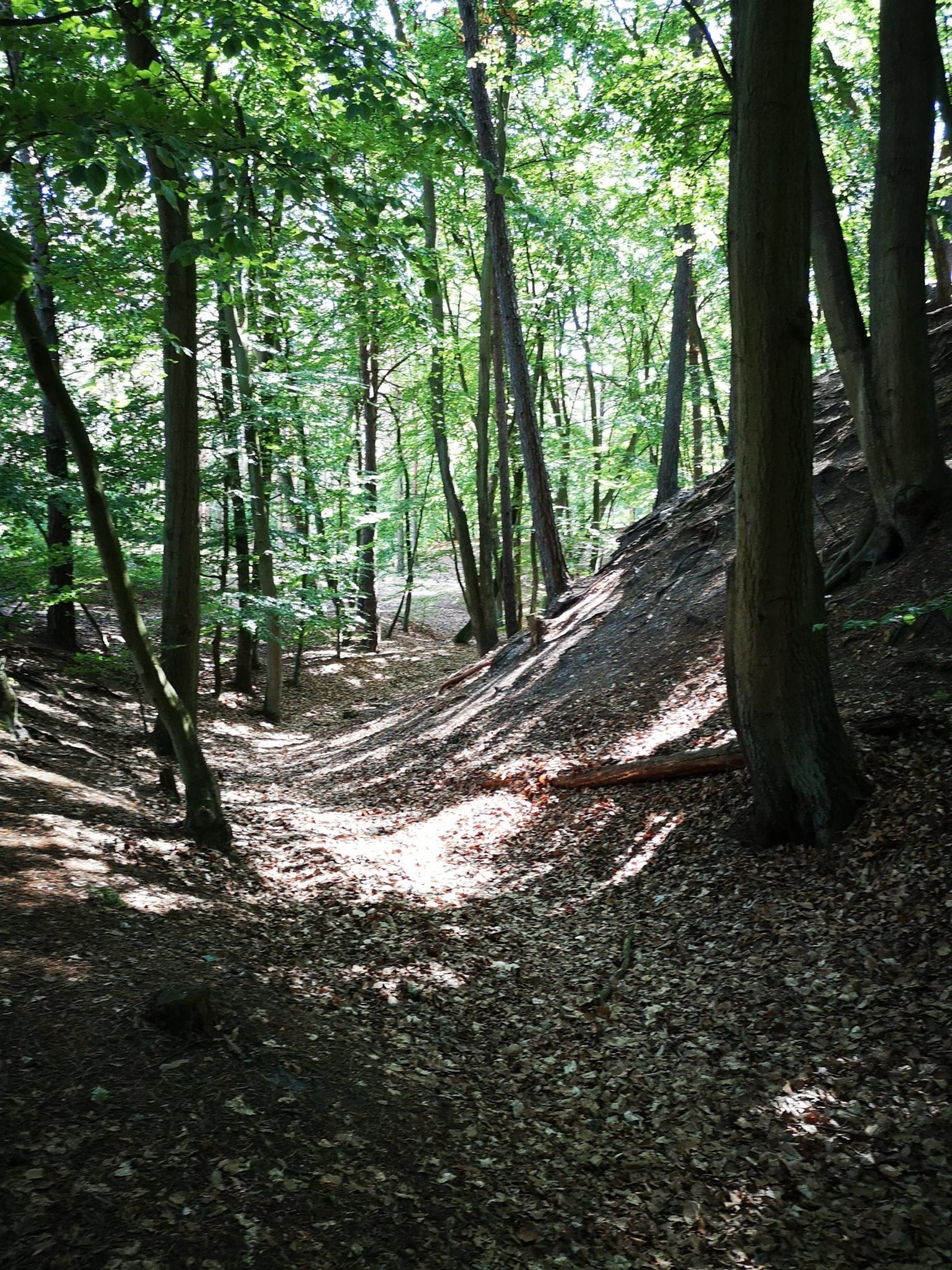 Usedom_mit_Kindern_erleben_grossekoepfe.de