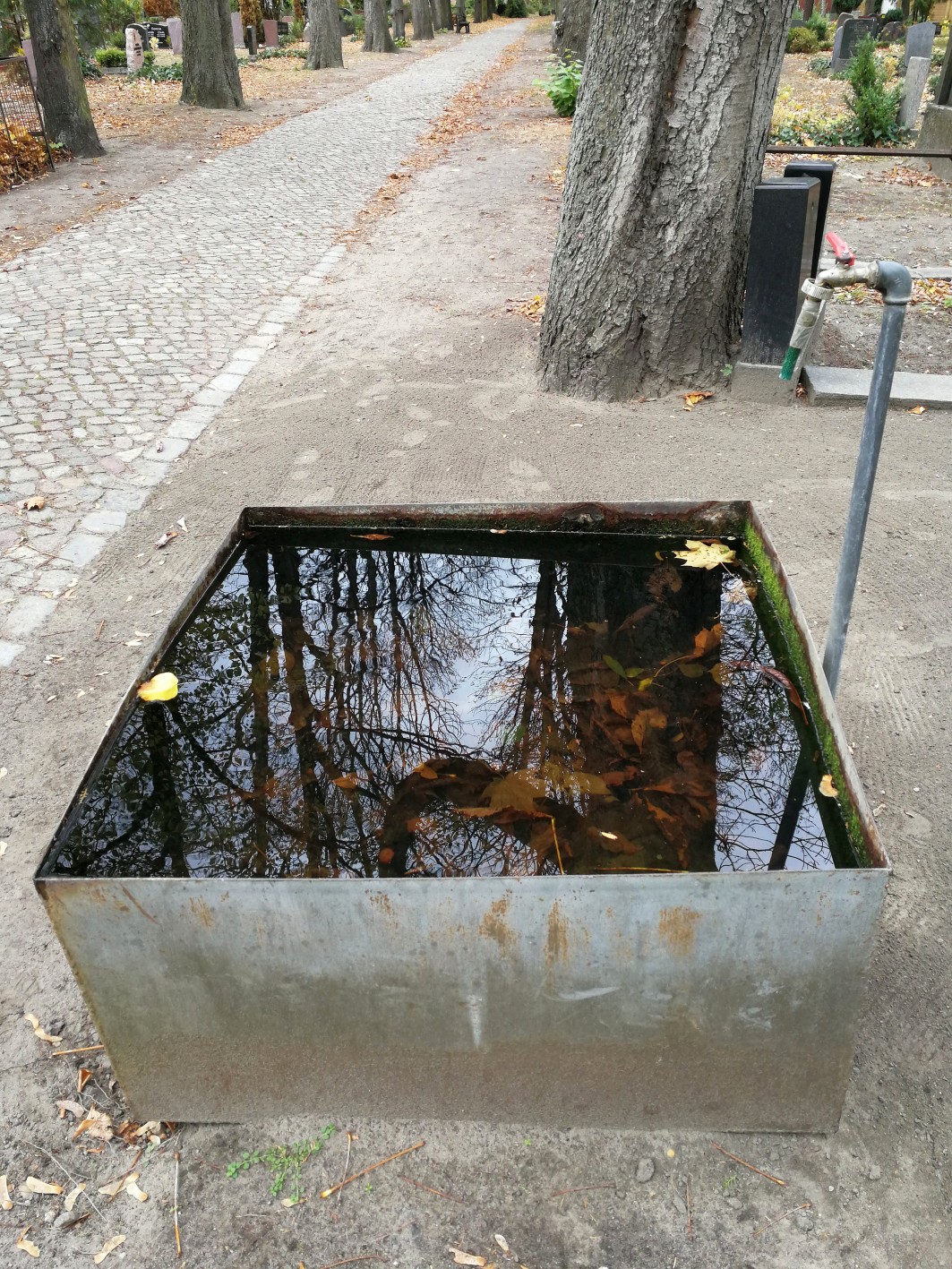 Friedhof