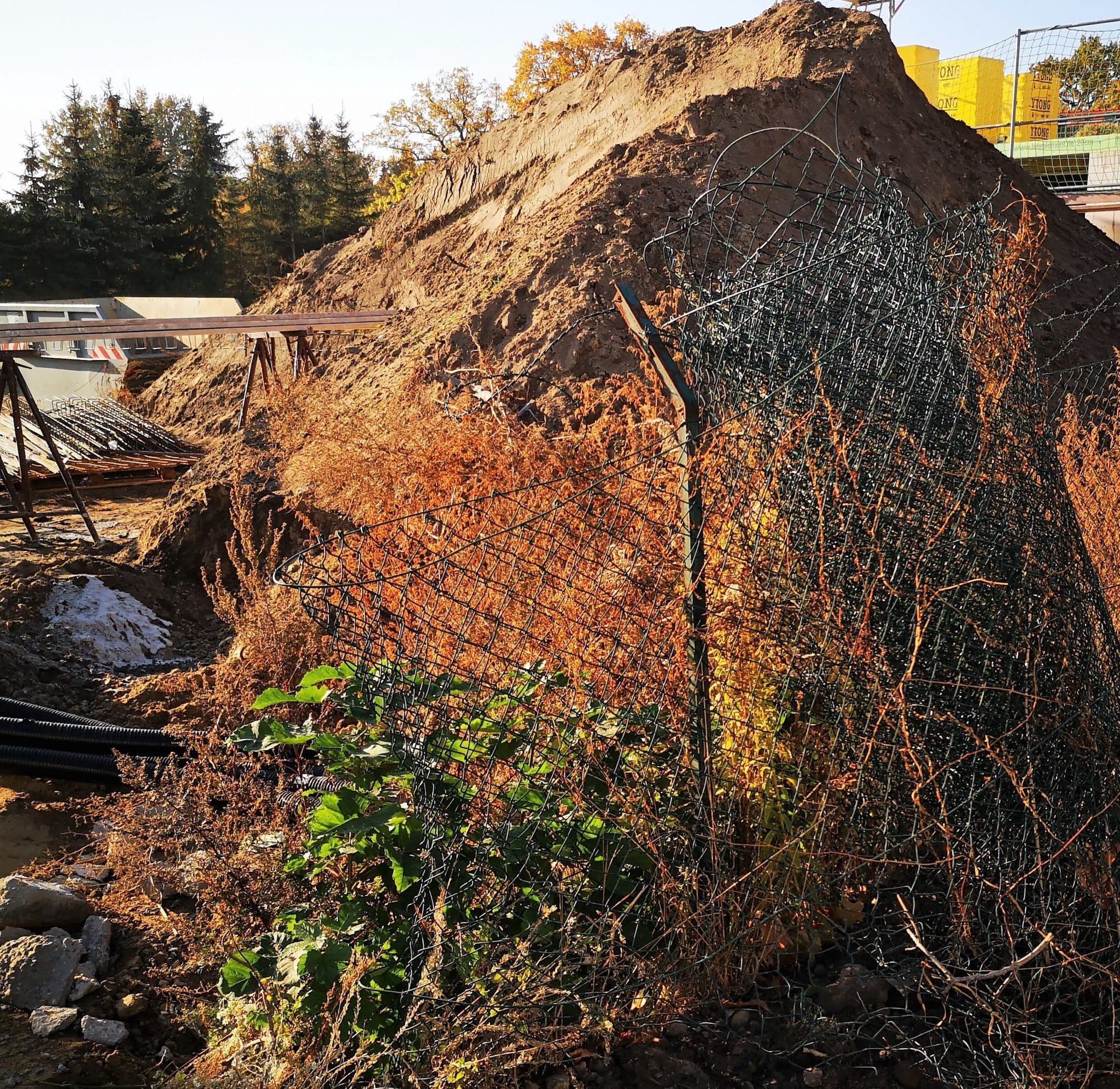 Hausbau mit Kindern_grossekoepfe