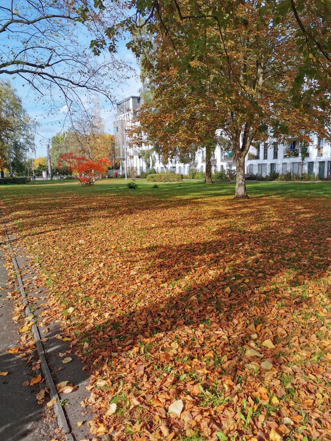 Familienblog_Alltag_Wochenende