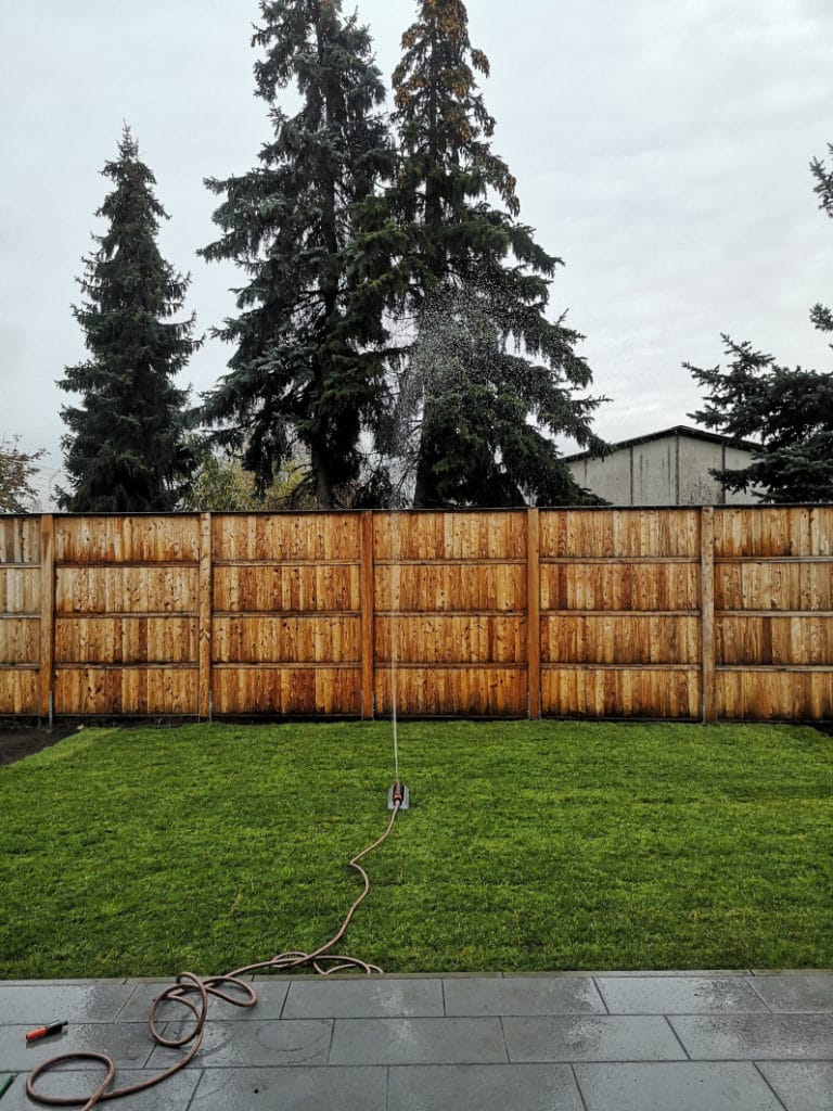 Das Wochenende in Bildern 1./2.11.19 - ihre, seine und eure Sicht