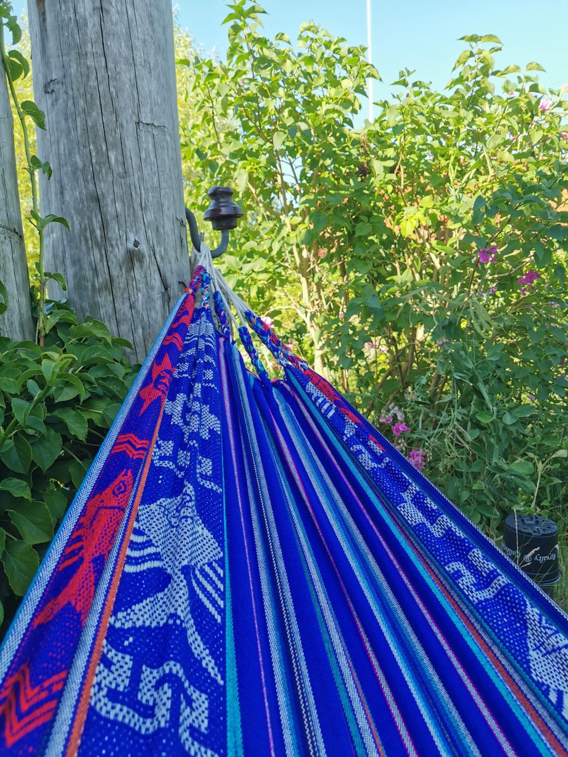 Wochenende in Bildern- Zingstland_grossekoepfe.de