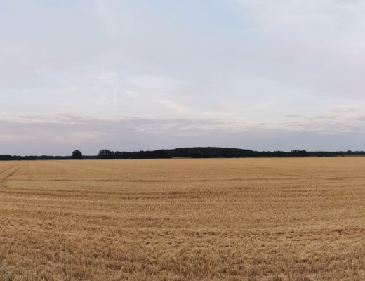 Wie die Vereinbarkeit von Beruf und Familie gelingen kann