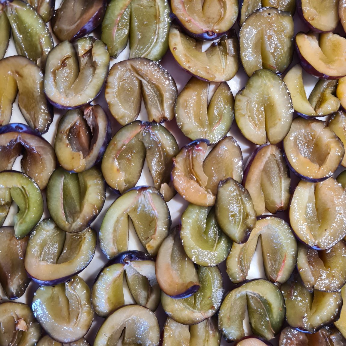 Hallo Sonntag. Ich brauche Kaffee.