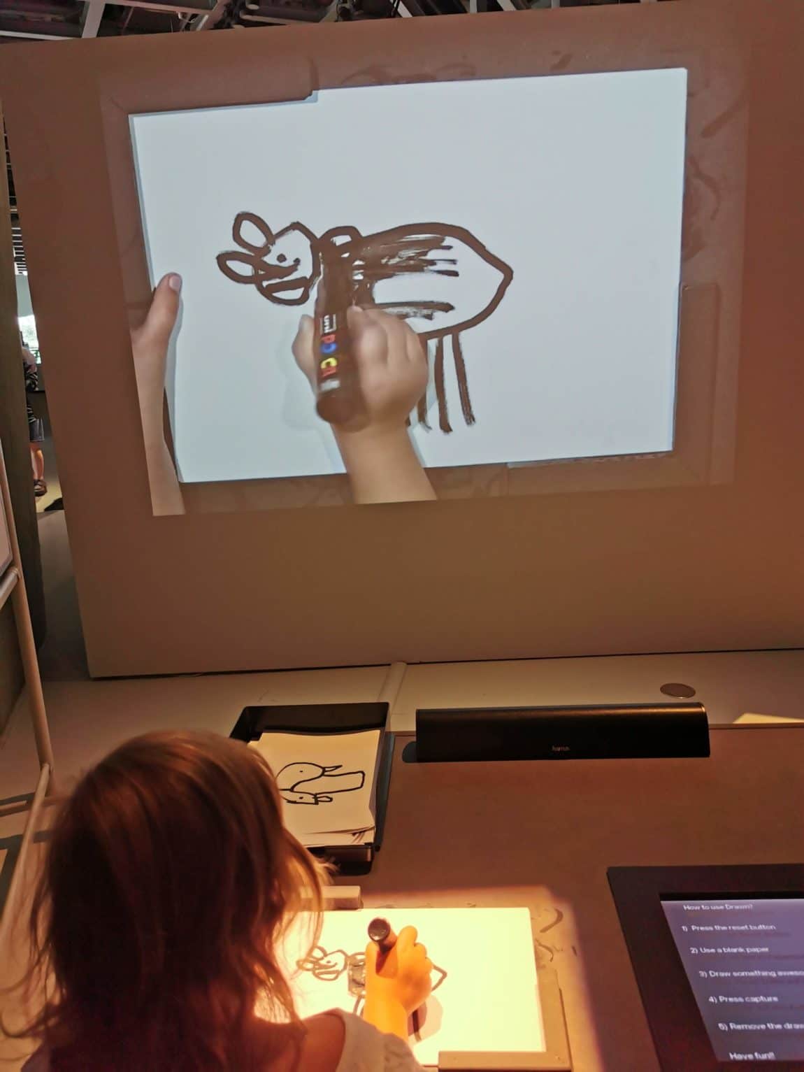 Warum ich kein Haustier will