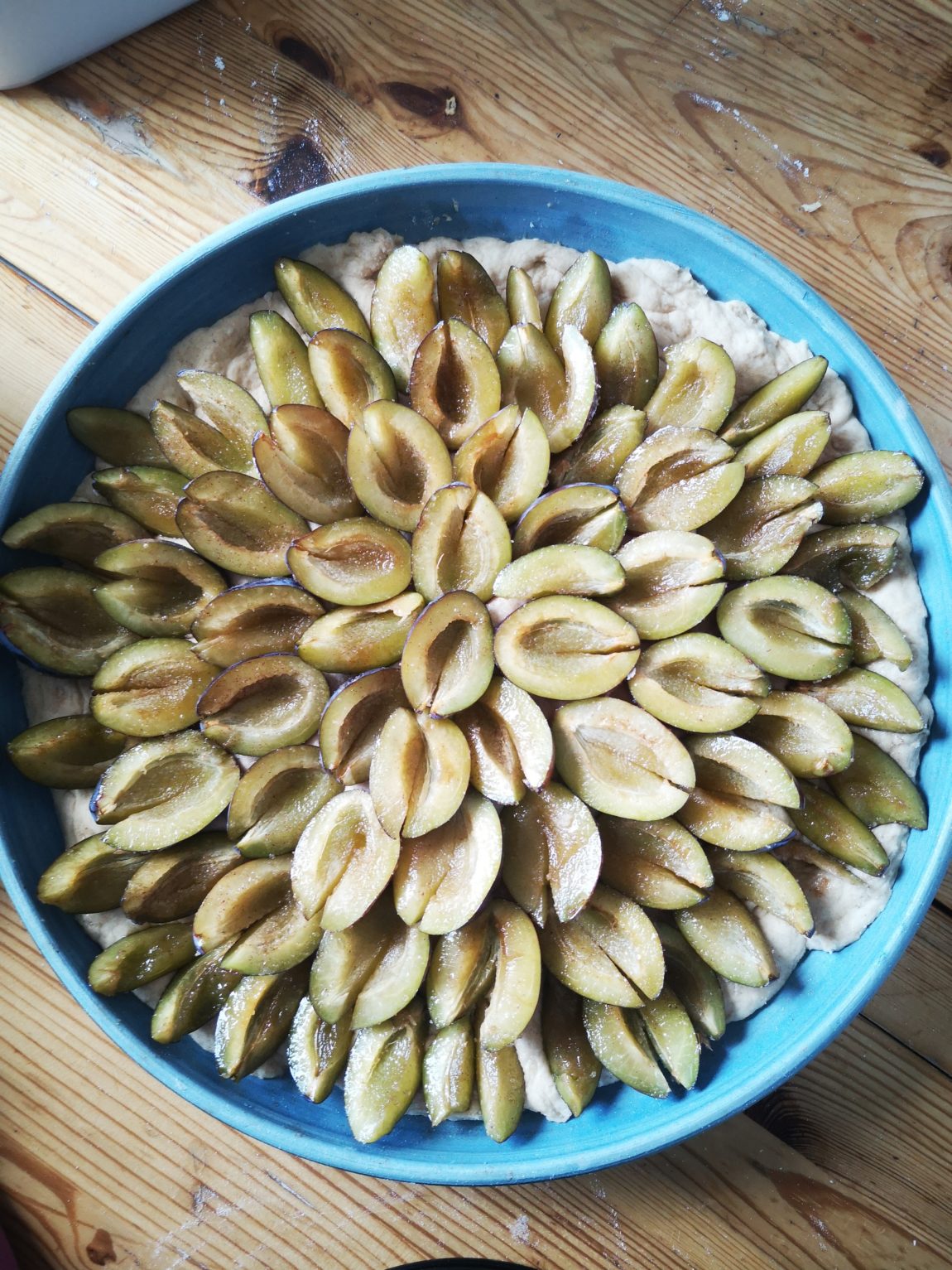 Das Wochenende in Bildern_grossekoepfe