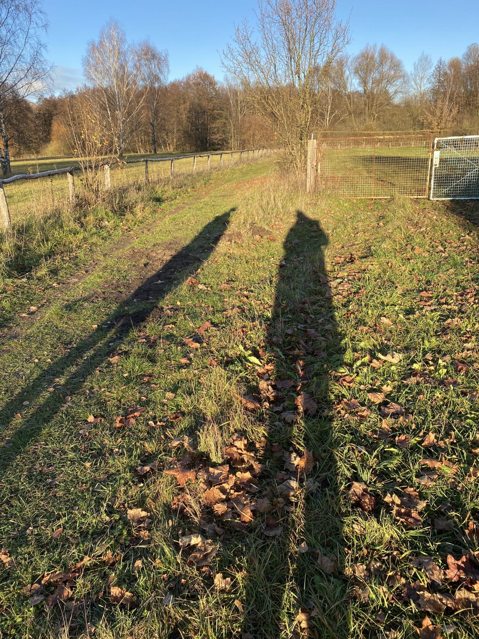 Adventssonntag_erster_in Familie_grossekoepfe.de