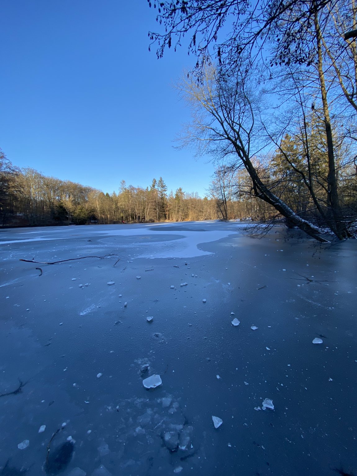 Immerhin ist der See zugefroren und das ist ja wunderbar.