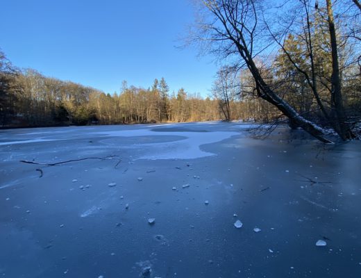 Immerhin ist der See zugefroren und das ist ja wunderbar.