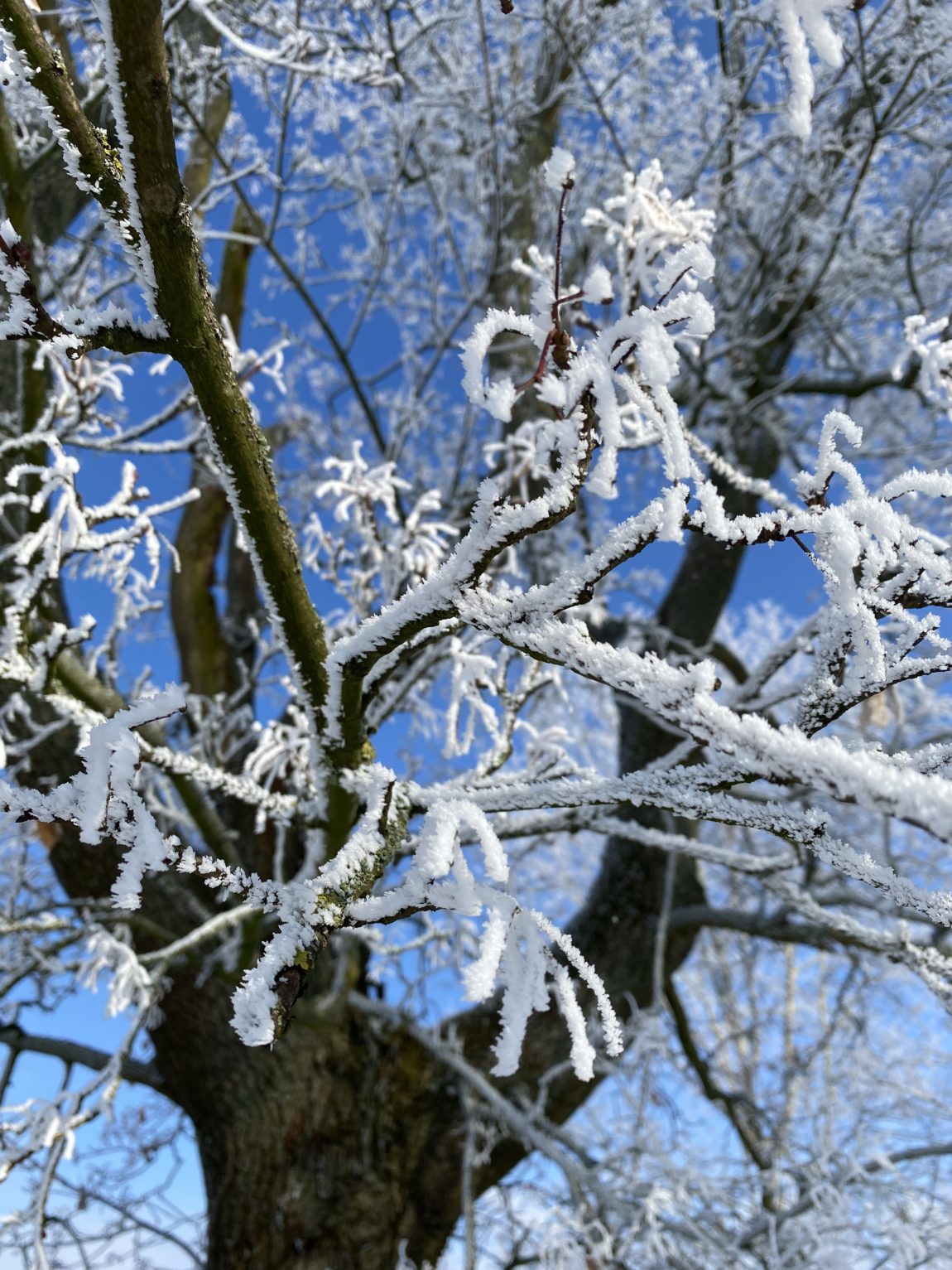 Hallo Sonntag. Was für ein Wetter.