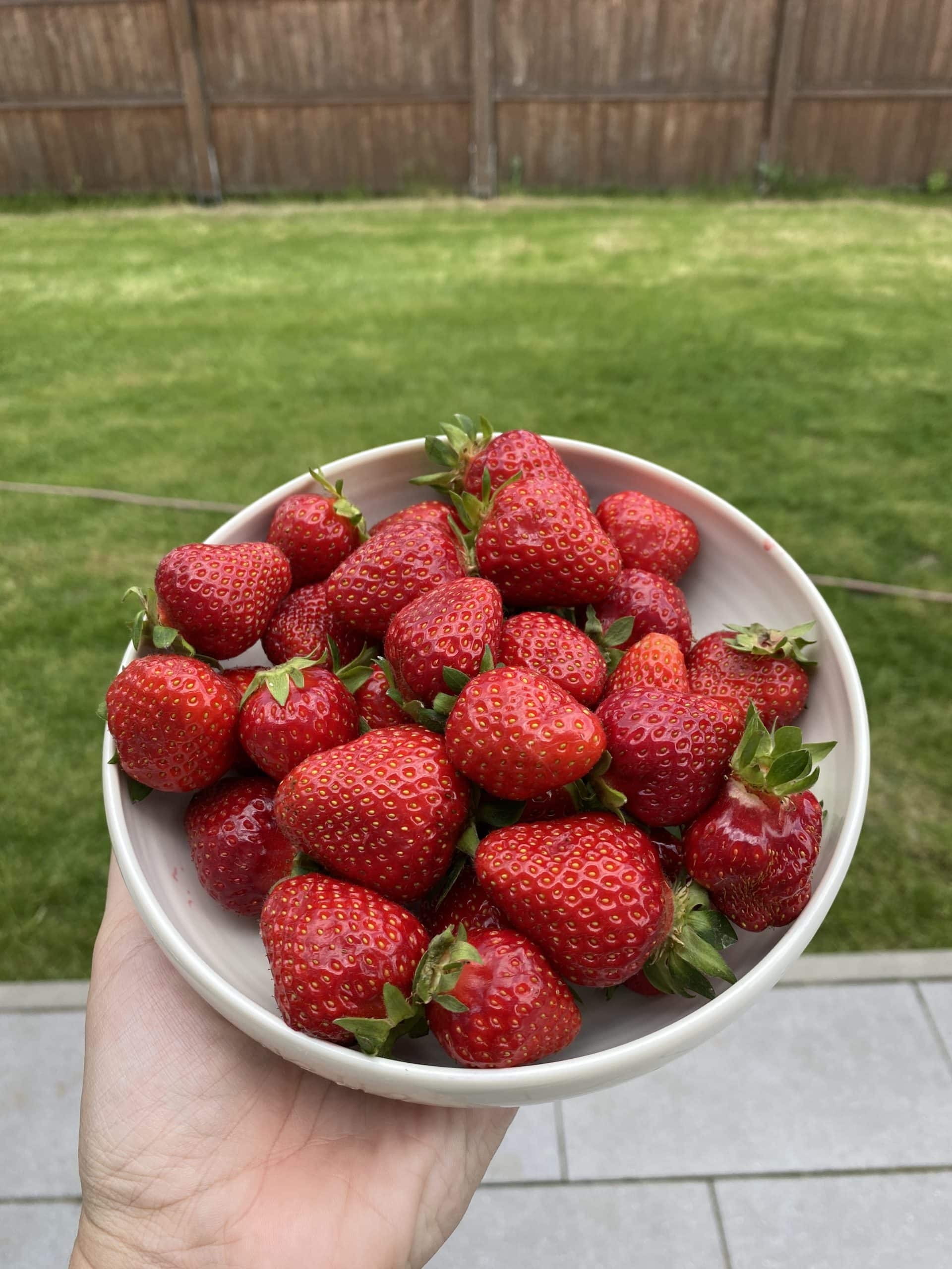 Auf dem Weg noch ein paar Erdbeeren gekauft..dann Sonntagsstimmung.