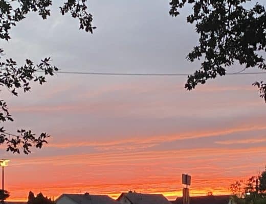SOnnenuntergang Frz Buchholz