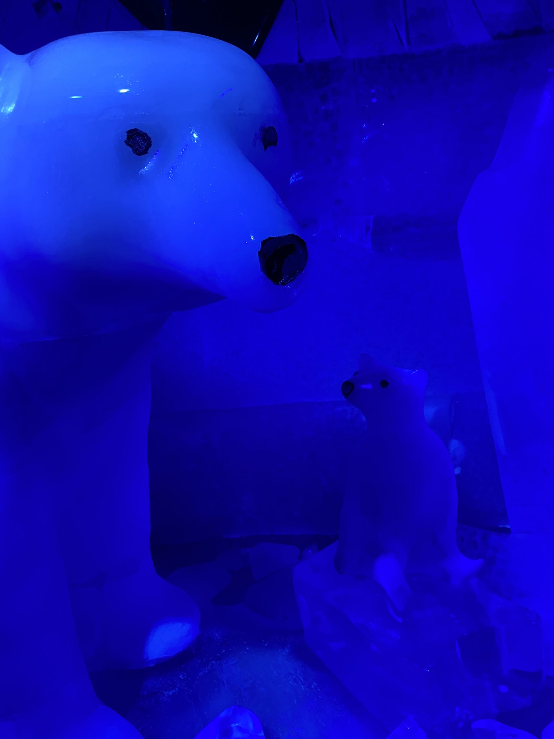 Denn wir fahren zurück nach Berlin und gehen auf die Premiere von Ice Age. Beginn ist in der Icebar in Mitte.