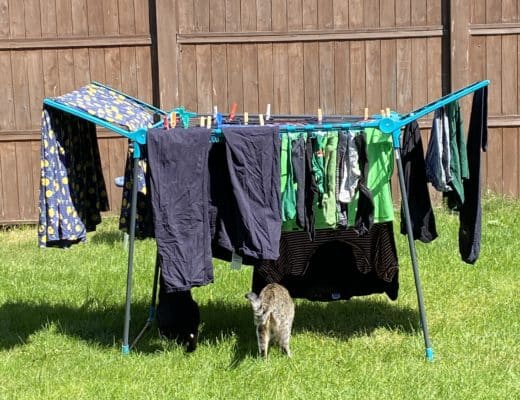 Am Nachmittag dann Wäsche und Katzen Hintern.