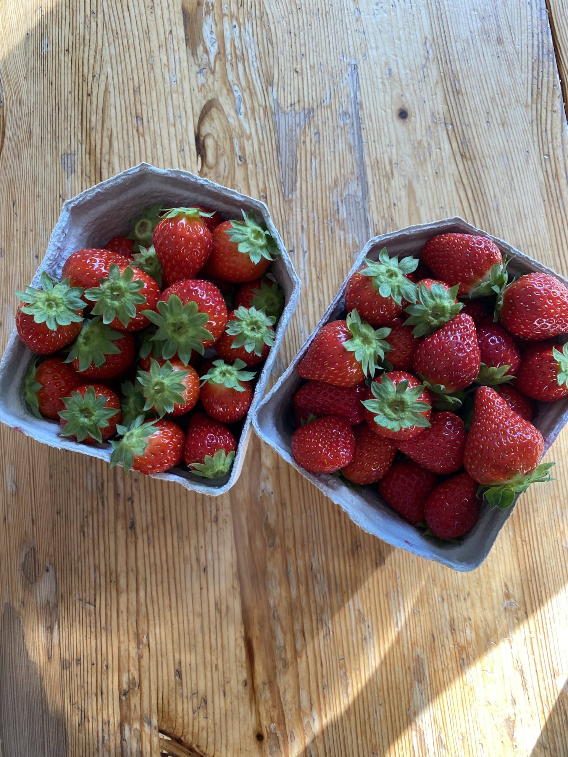 3. Wir essen Erdbeeren, es sind die letzten Früchte der Saison.