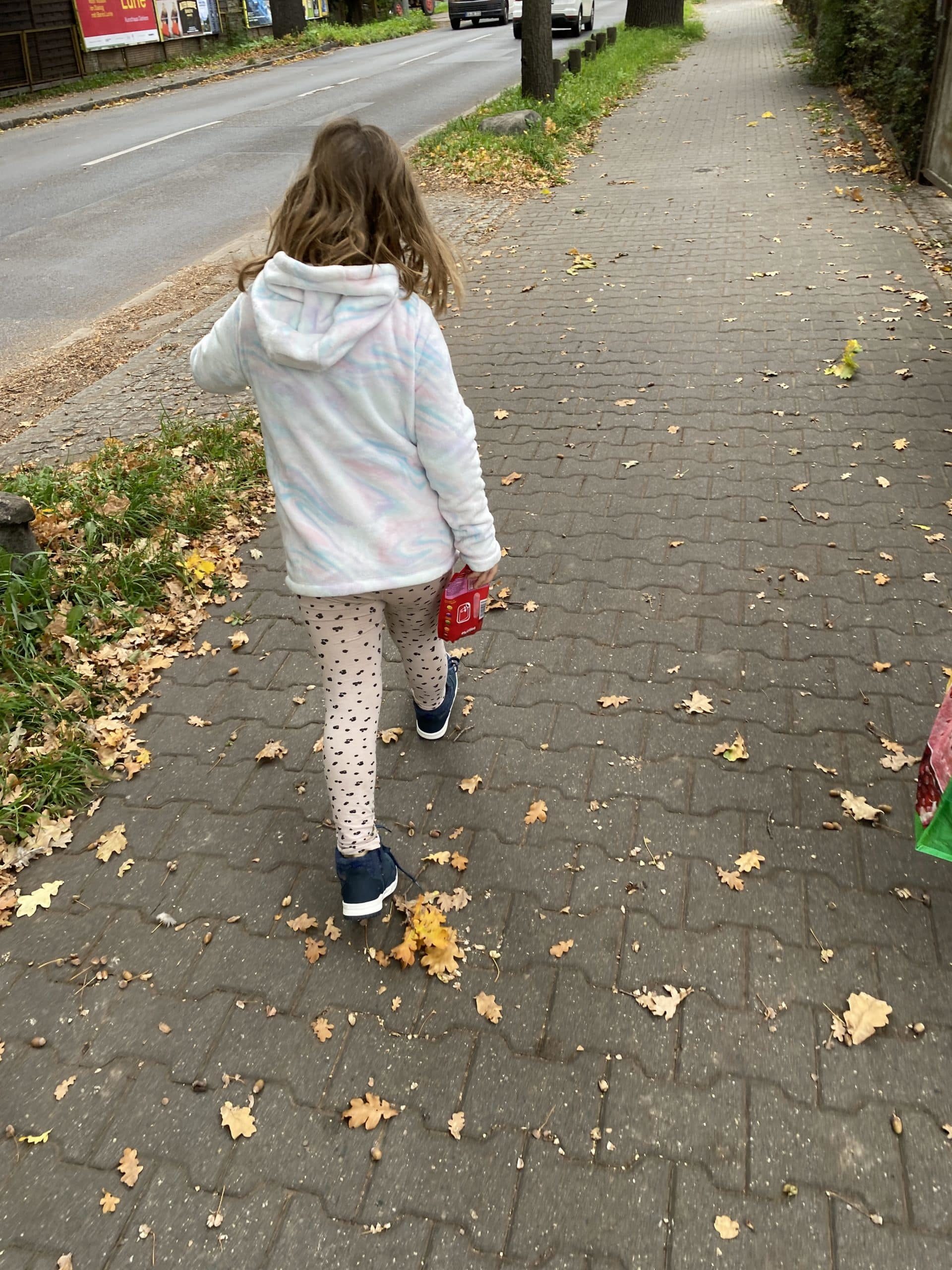 Mit der Jüngsten sind wir eine Runde spazieren, der Herbst zieht wirklich ein.