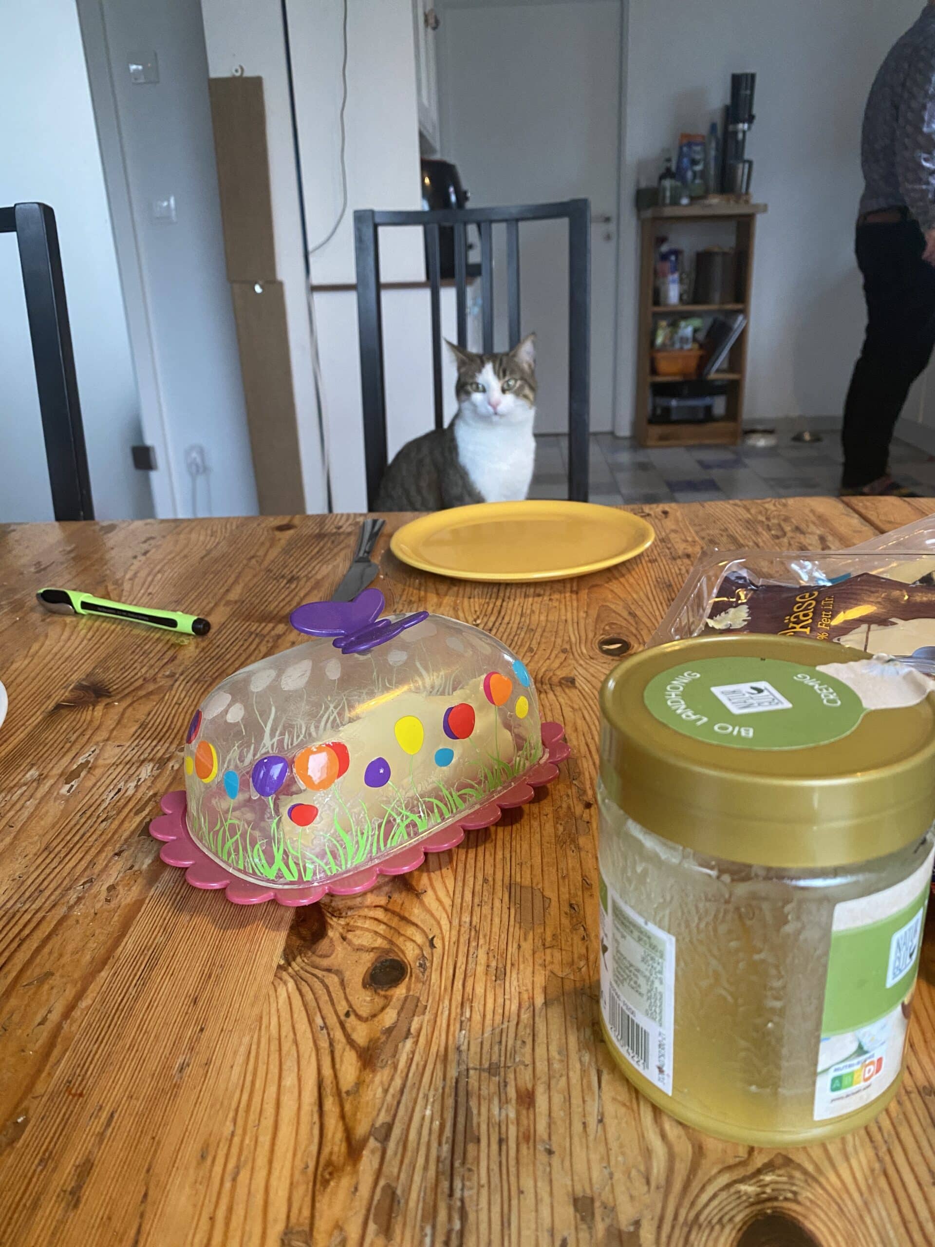 #1 Ich stehe auf. Der Mann macht Frühstück, Zeit für ein Frühstück hat anscheinend nur die Katze.