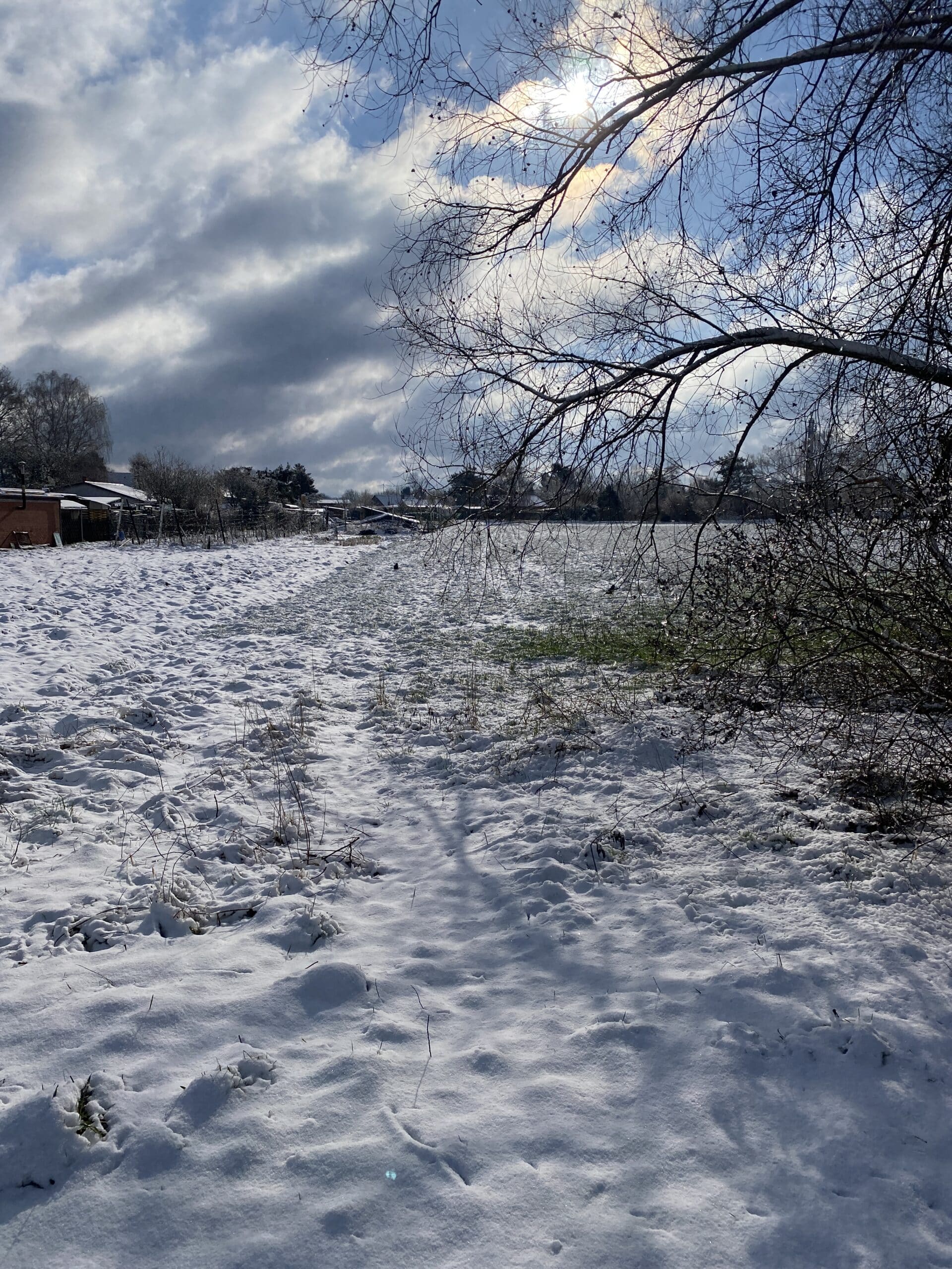 Es wird spaziert, im Schnee.