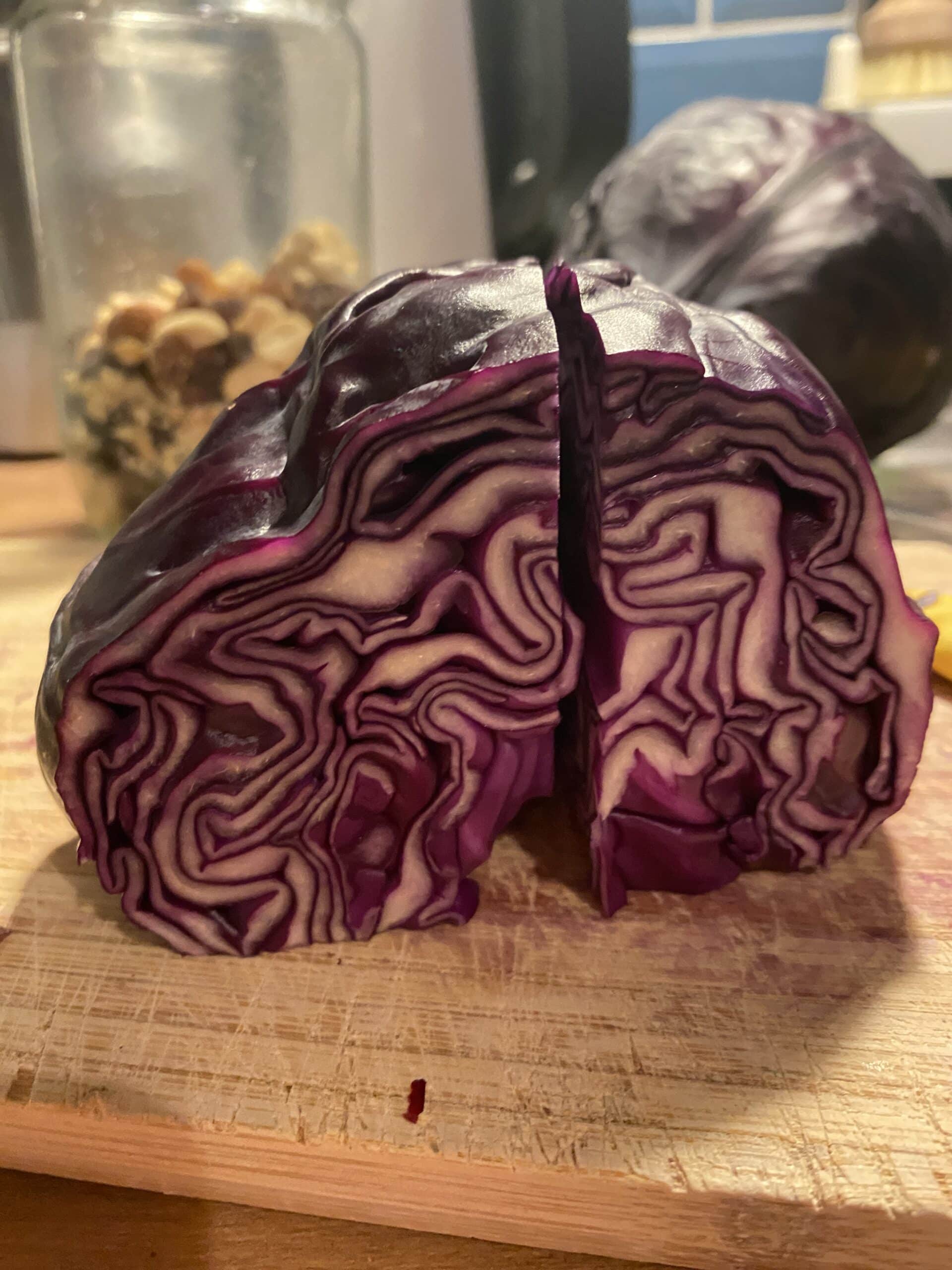 9. Ein Wunsch des Mannes ist immer wieder Rotkohl.