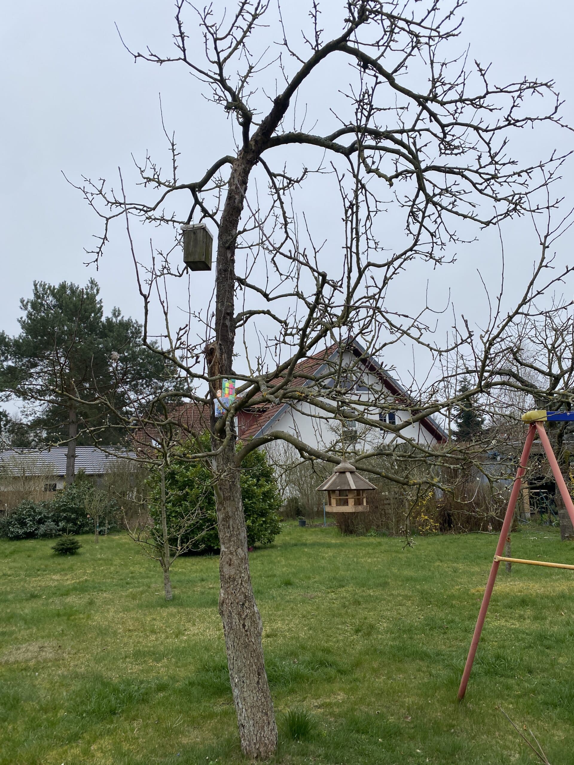 Hallo Ostersonntag. Wir sind bei den Großeltern und suchen dort Ostergeschenke.