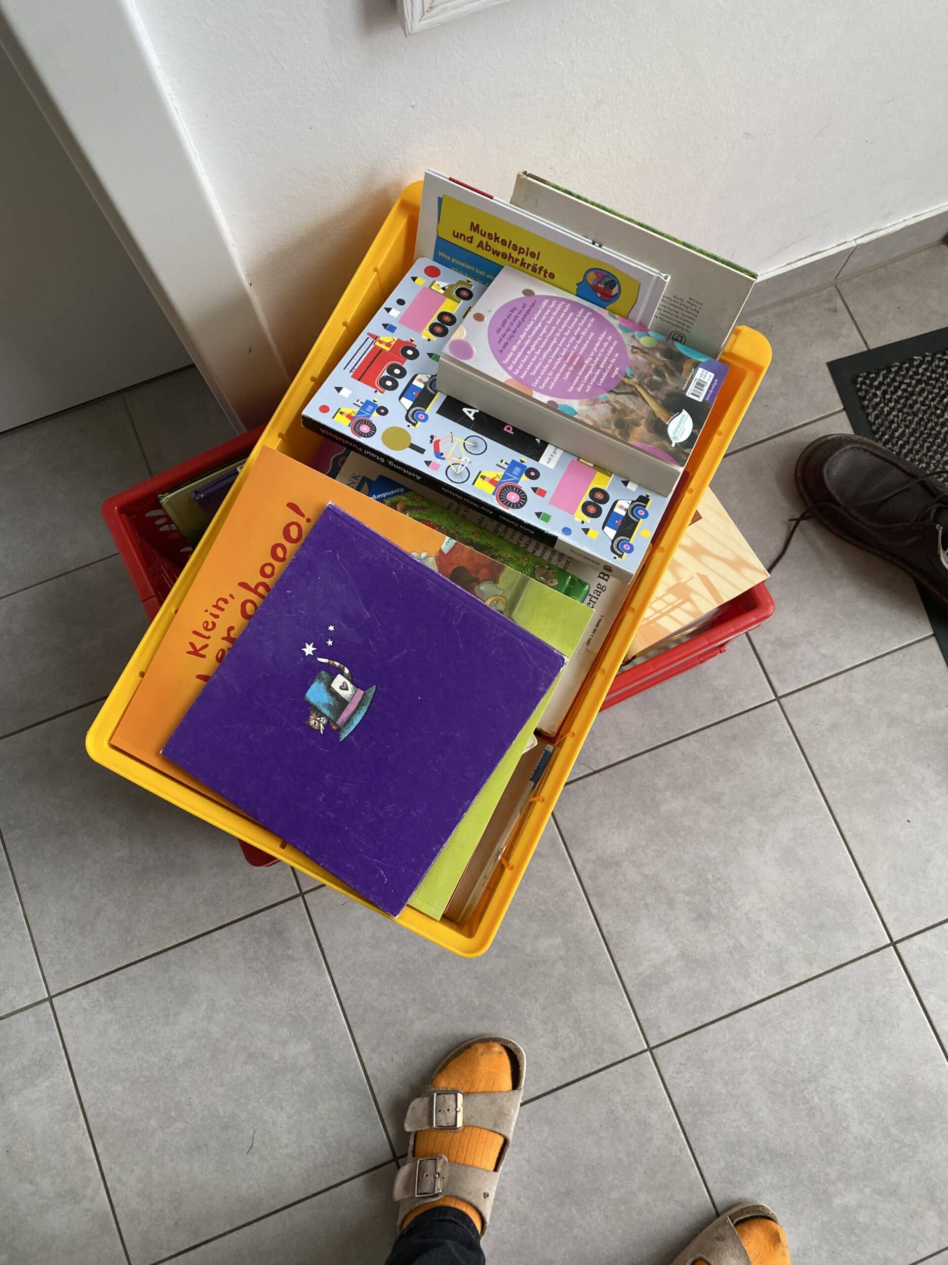 Gemeinsam mit den Kindern sortieren wir heute mal wieder Bücher. Wir sortieren in 