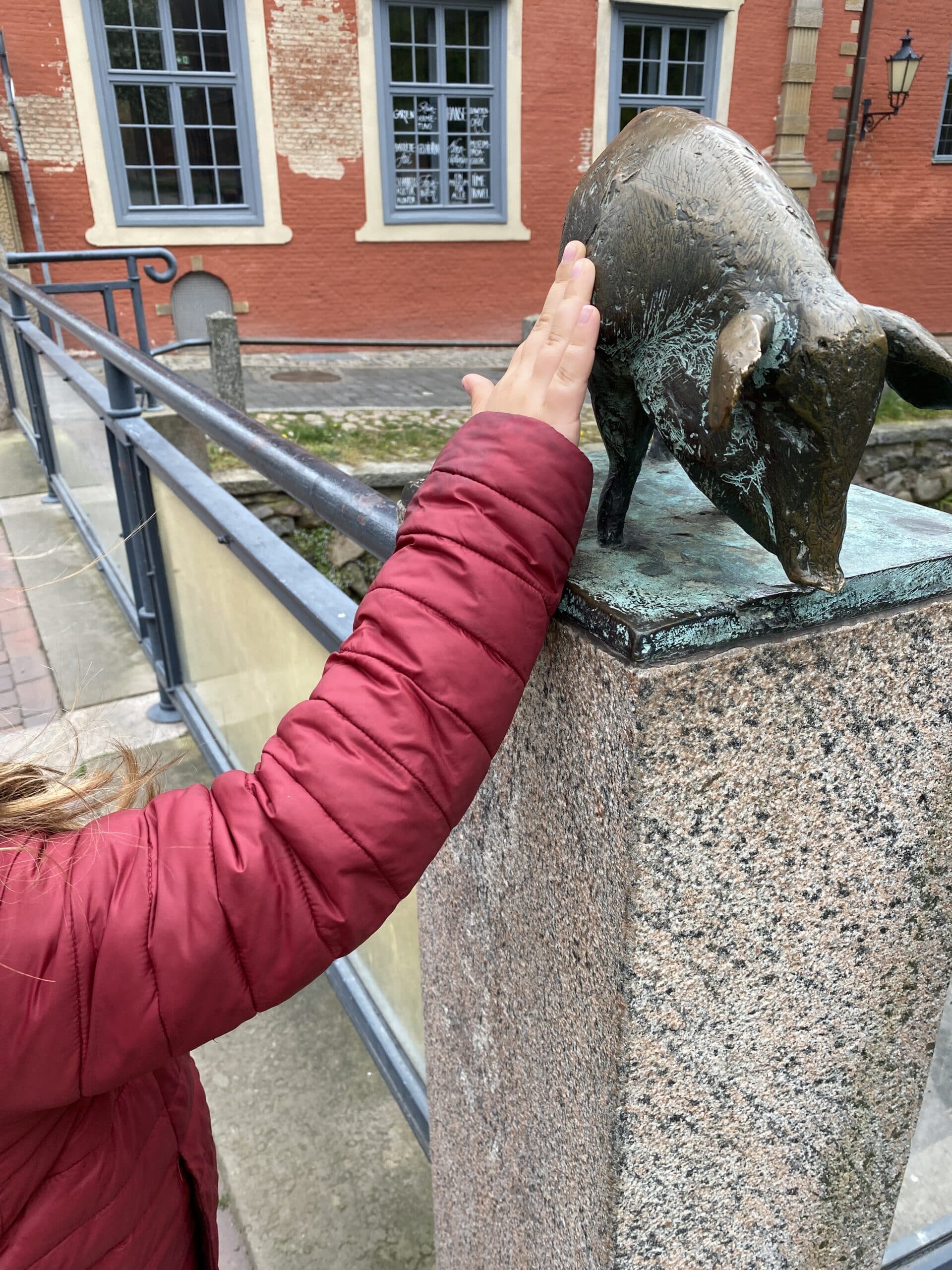 Dort werden kleine Schweinchen gestreichelt..