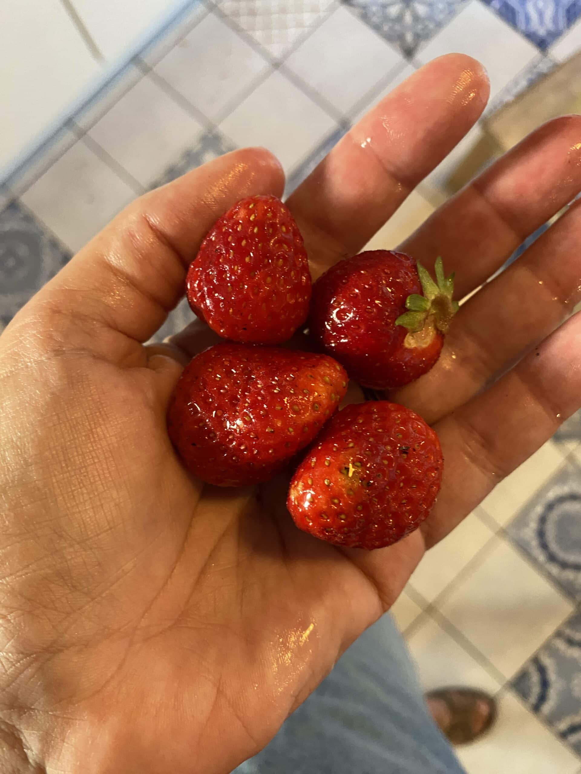 Nach meiner Rückkehr für mich die erste eigene Ernte von Erdbeeren! : ) Ich liebe meinen Garten.