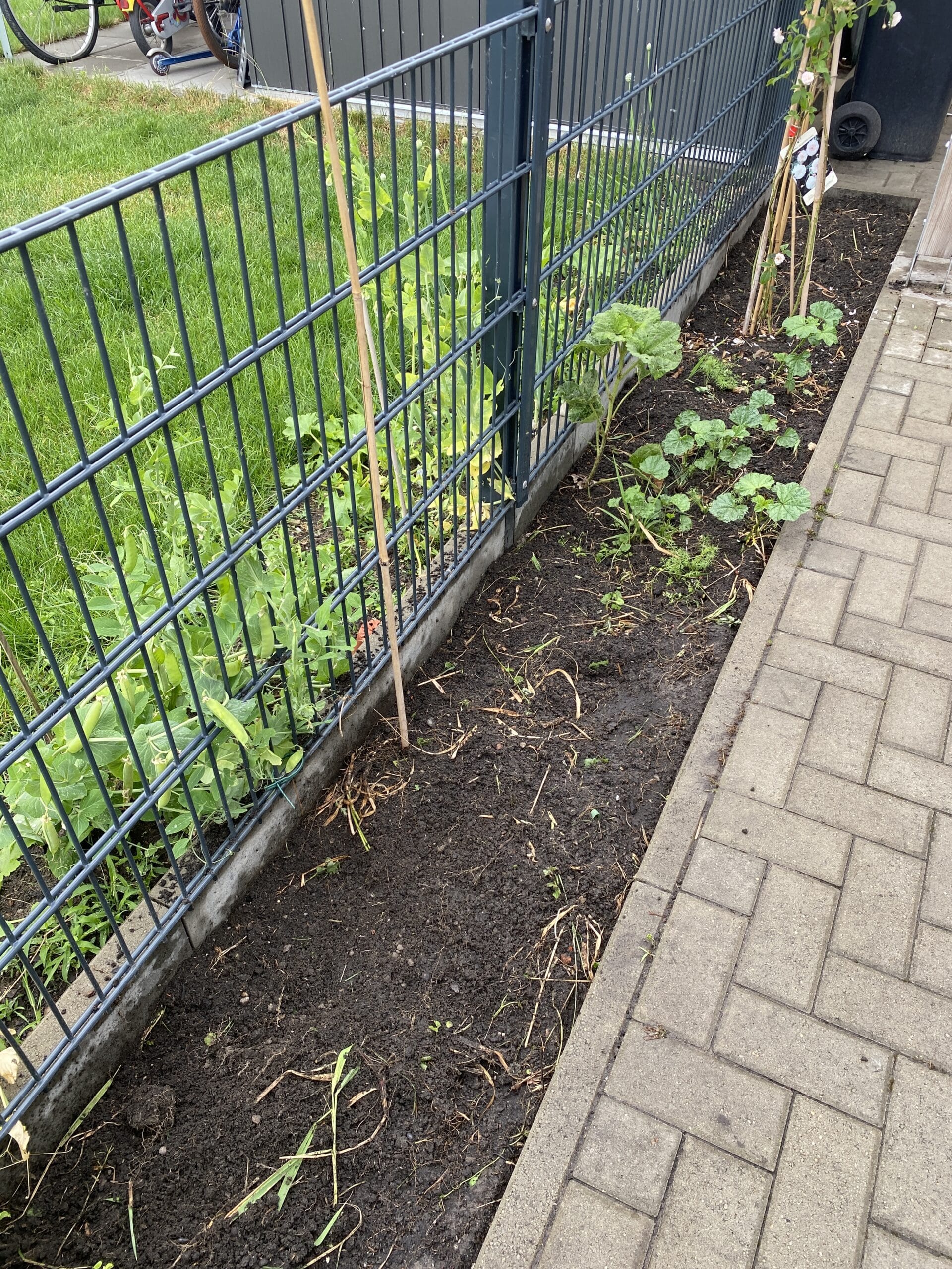 Am Vormittag kommen Freunde vorbei und helfen mit dem Garten. Ich packe das derzeit noch nicht.