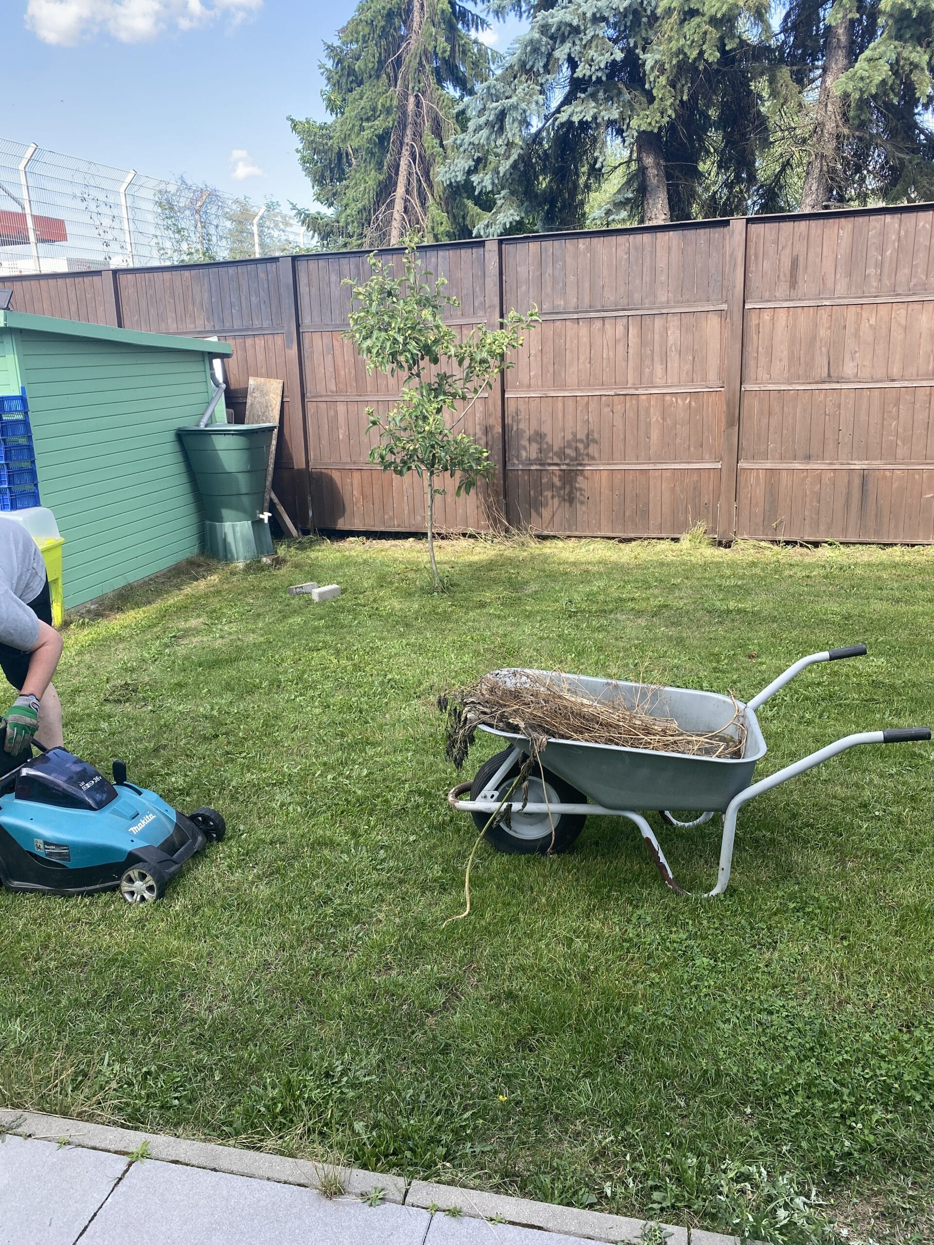 Während Konsti den Garten auf Vordermann bringt.