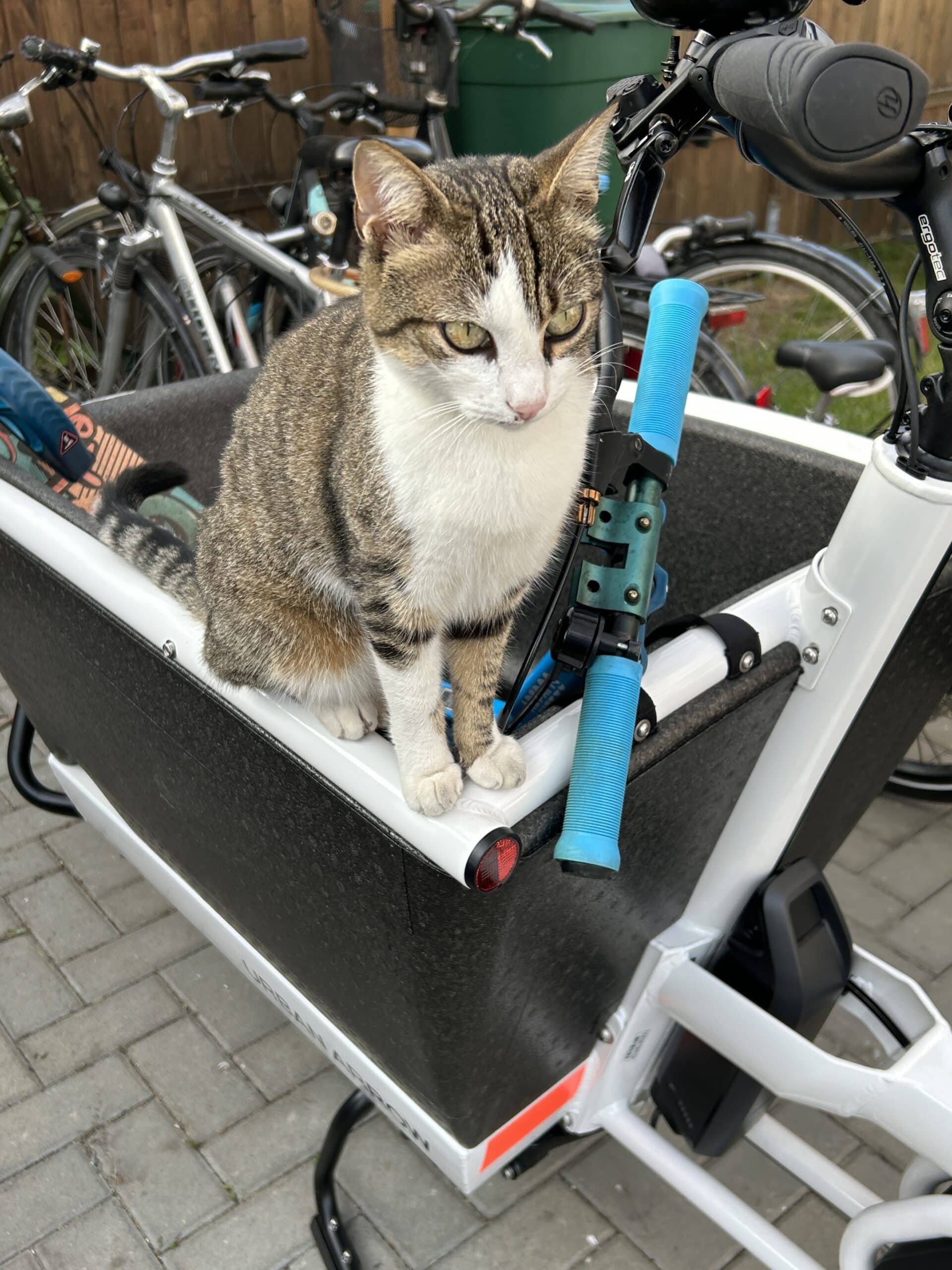 Urban Arrow Family E-Cargobike 