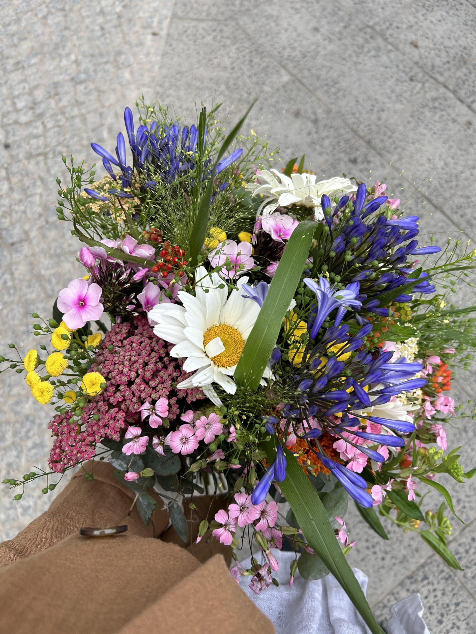 Schöne Blumen sind schöne Blumen..