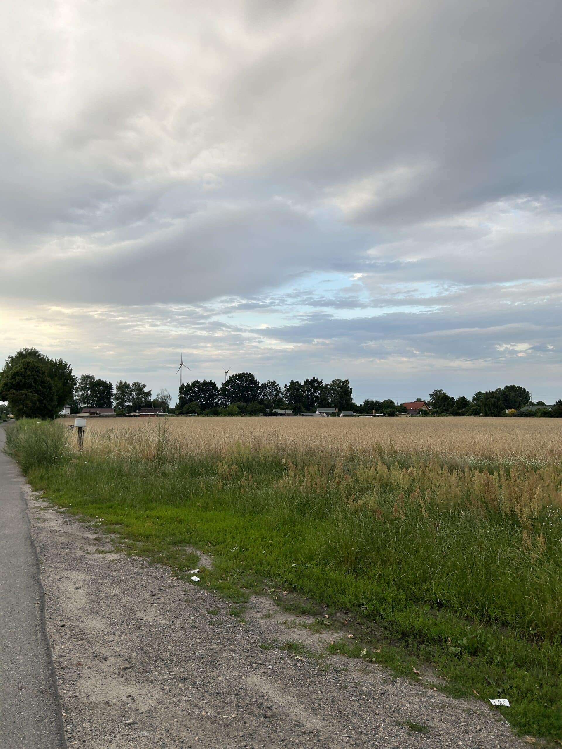 Als es endlich kühler ist, gehen wir eine Runde spazieren.