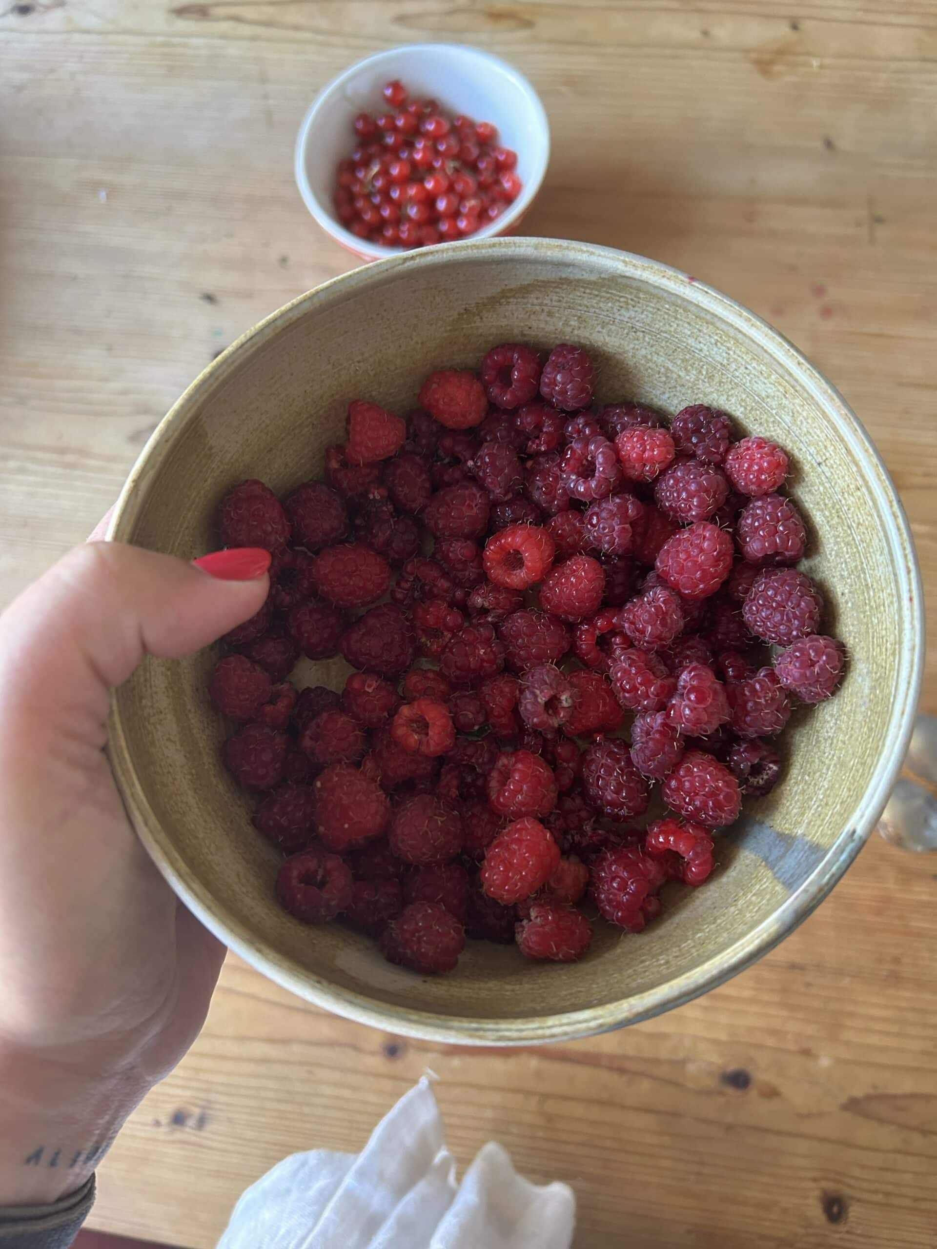 Hallo Sonntag, wir sammeln Himbeeren..