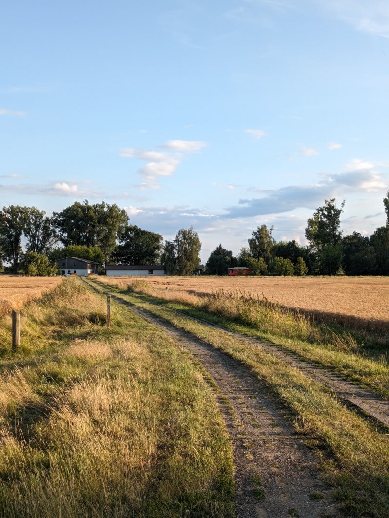 Auf der Sohlfarm im Oderbruch