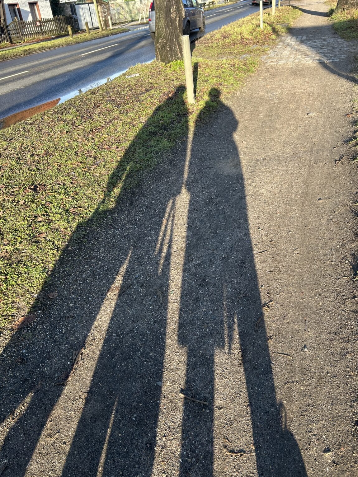 Ich gehe erstmal mit Konsti spazieren. Das Wetter war traumhaft und wir reden und laufen.