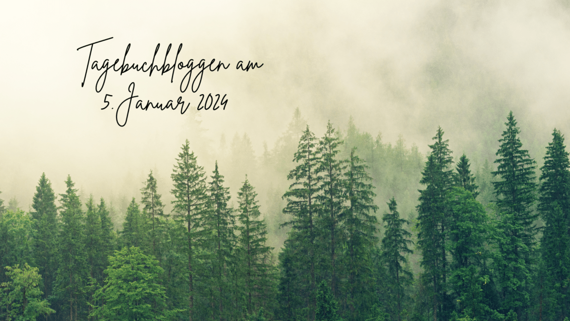 Tagebuchblog am 5 Januar 2024