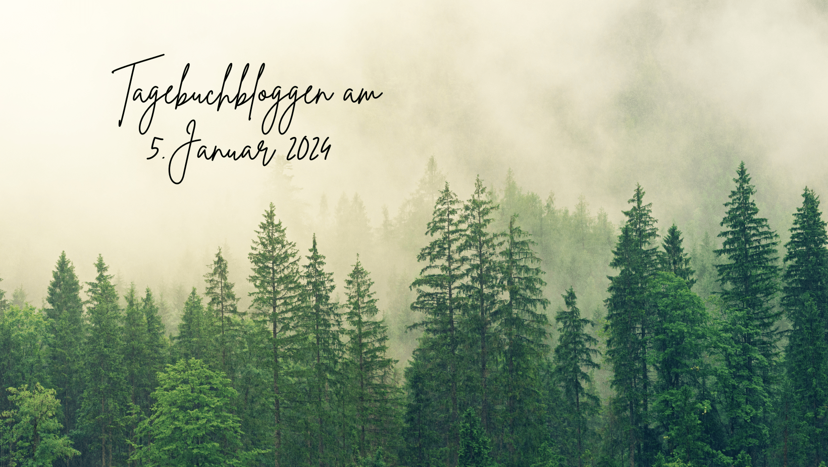Tagebuchblog am 5 Januar 2024