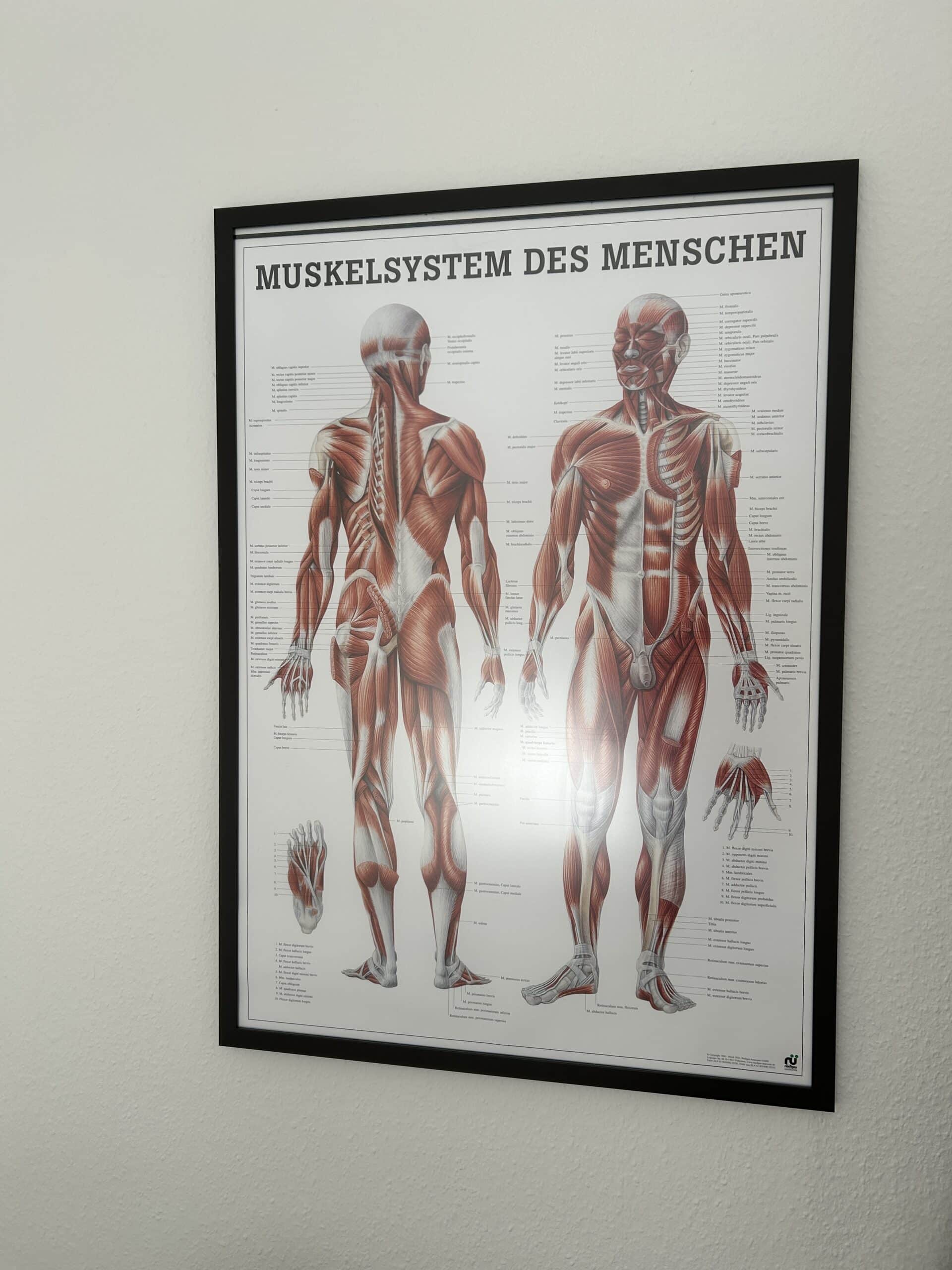 #4 Heute steht wieder Physiotherapie auf dem Plan. Immer wieder schön diese Plakate.